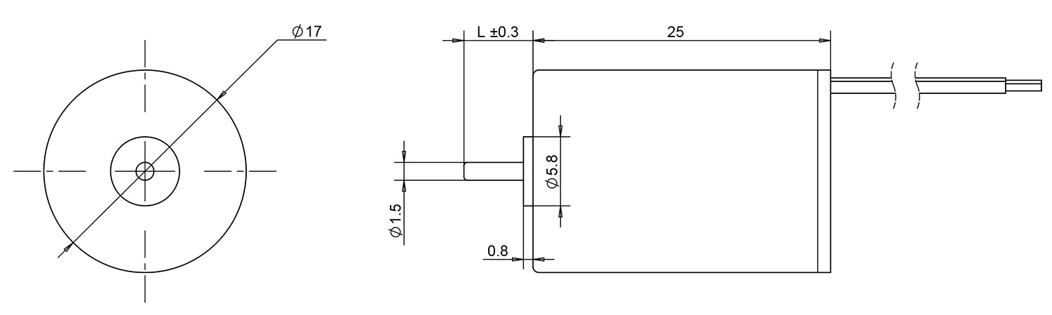 1725 coreless brushless motor