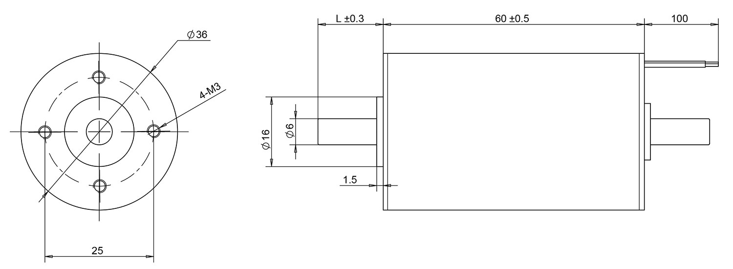 3660 coreless brushless motor